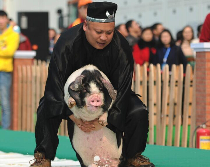 ��ɳ���б��汧�������ܡ�