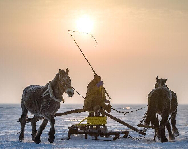 �����й�������ɺ����湤����������