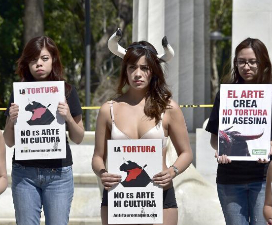 ī綯ﱣߴʾ 鶷ţ