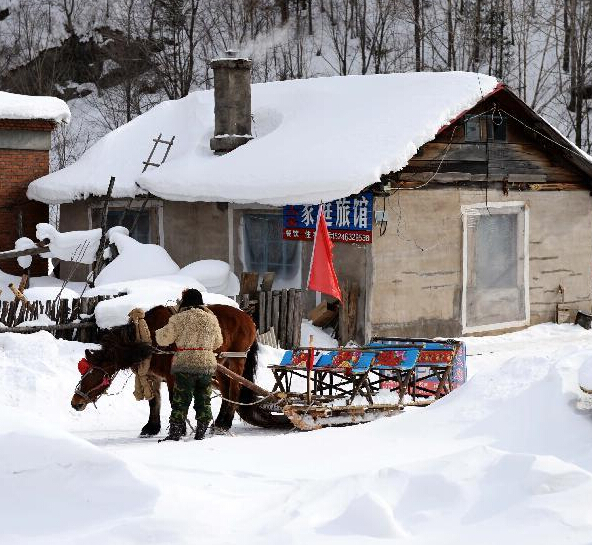 雪村美景醉游人”