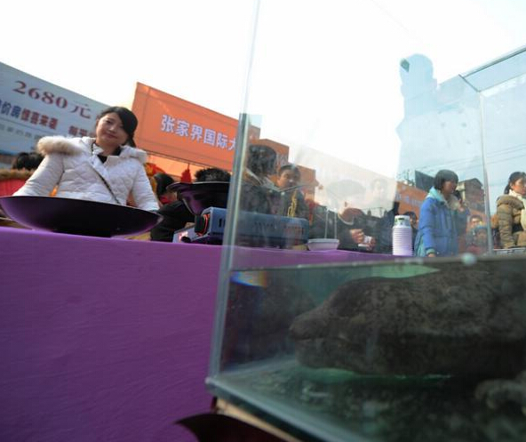 �żҽ硰����������ˮ�����������ԡ������㡱��