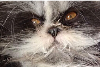 è�仼��ë֢�������� ����һ�š�����������