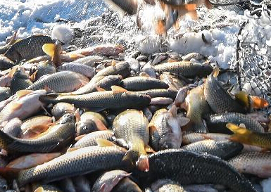 �����й�������ɺ����湤����������