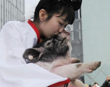 ��ɳ���б��汧�������ܡ�