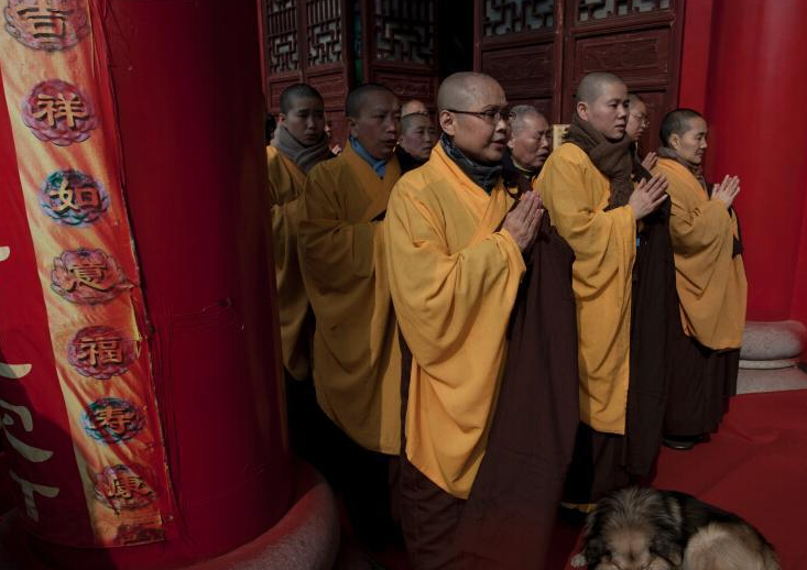 ��ɳ�ſ����¾���������ᡱ