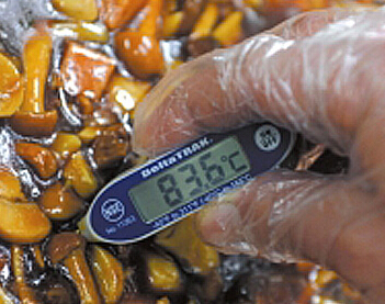 ���ض����������� �з�Ϊ����������X�⡱