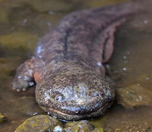 �ҿ��������������ɴ��