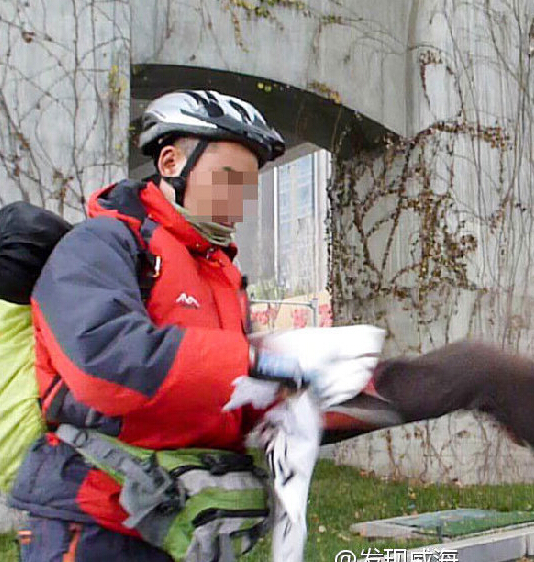 ��¿�ѽ�ͷ����ƭǮ�Ⱪ��