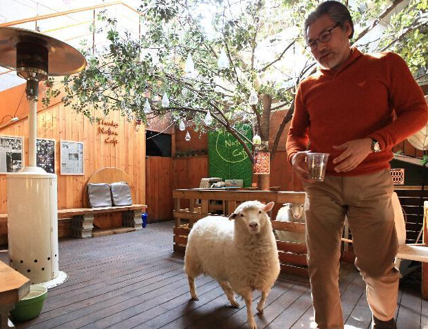 �߽����������򿧷ȹݡ���