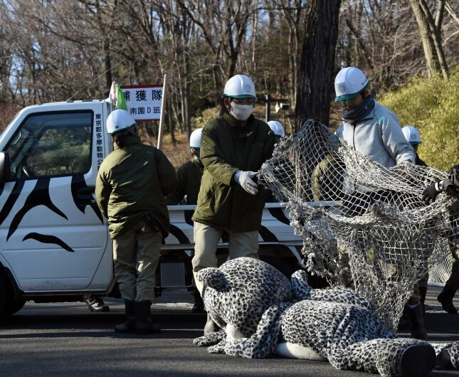 �ձ�һ����԰���з�����������ϰ��