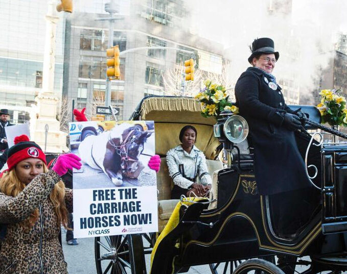 ģ��ŦԼ��ͷ���������� �⶯��Ȩ�������߿��顱