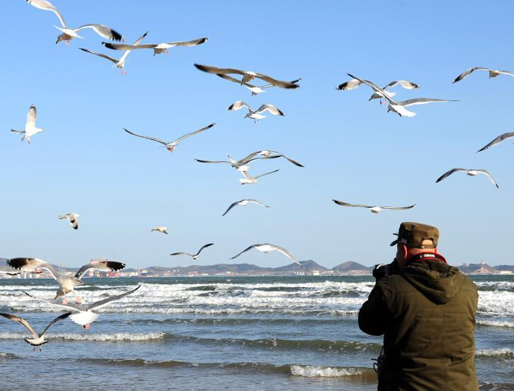 ��̨�����֡�ǧŸ��ʳ����