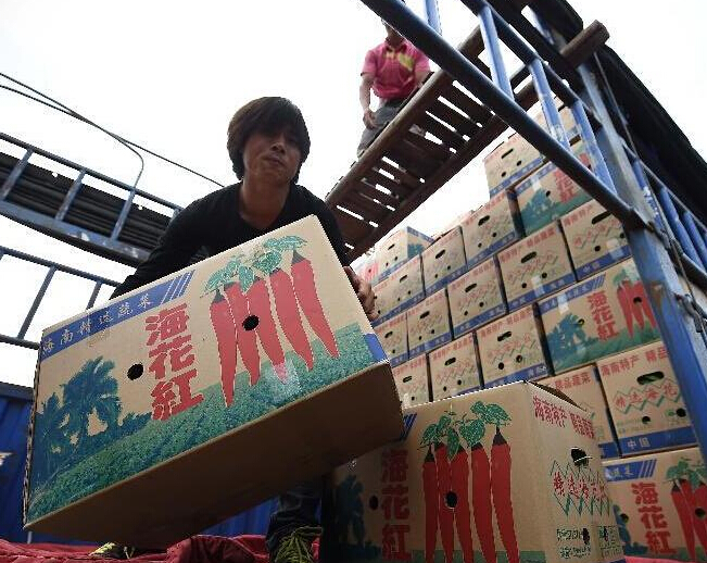 ����̨��������������ӭ���ա�