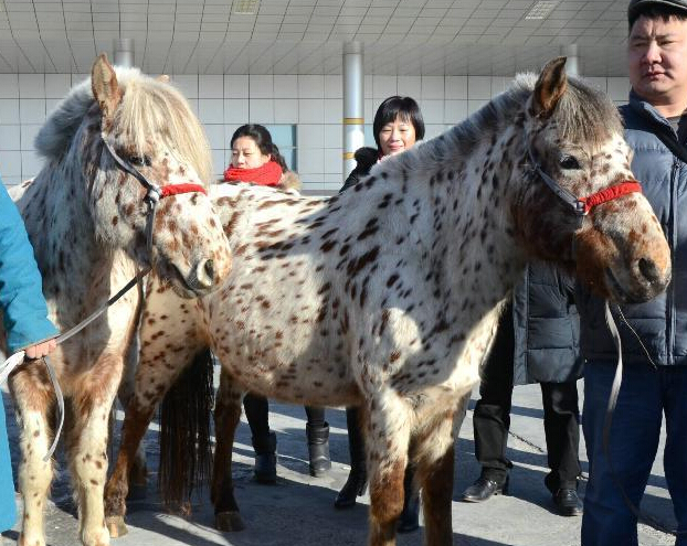 ϰ��ƽ�򸾻�������ƥ�ɹ����뾳��