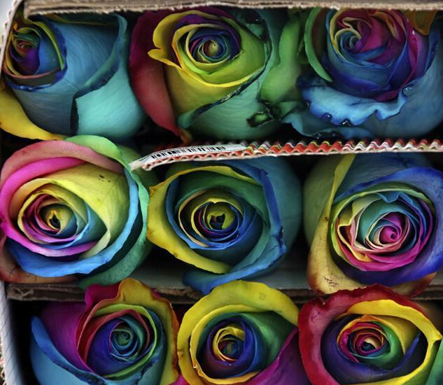 ���ױ��ǻ�ũΪ���˽ڱ������ʺ�õ��Ψ��������