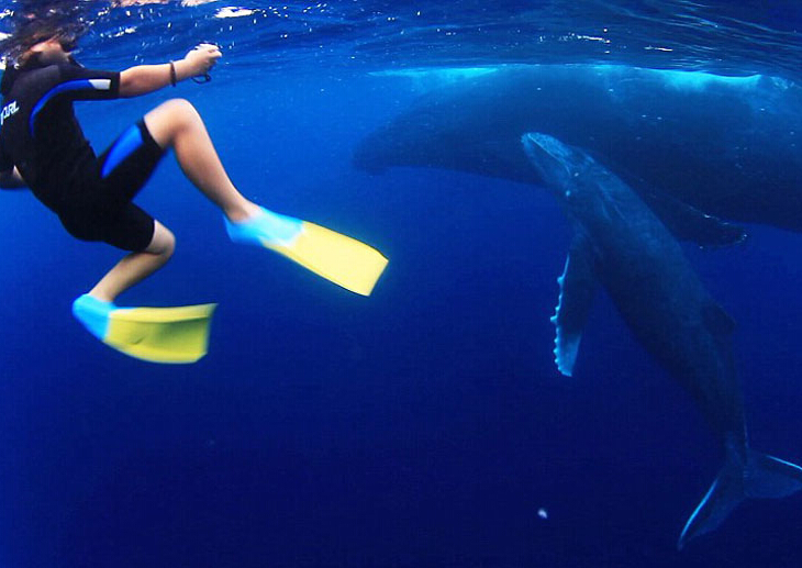 Ӣ���������뾨����鳤�� ���������ꡱ