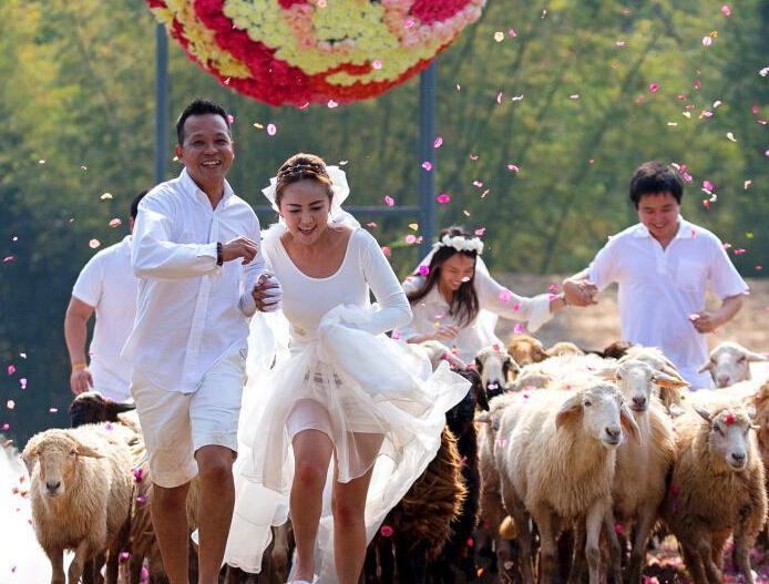 ̩���»�򸾾ٰ���ɫ���� ��Ⱥ�б�������Ȼ�׽���