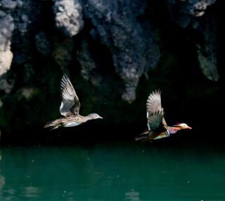 �żҽ��Ͽ����ԧ��Ϸˮ��