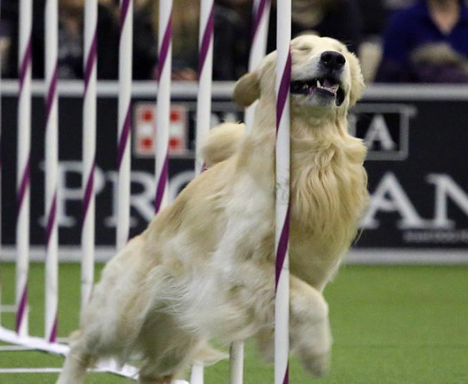 ��˹��˹��Ȯ�����ݴ�ʦ������ �ȳ���̨չ���ա�