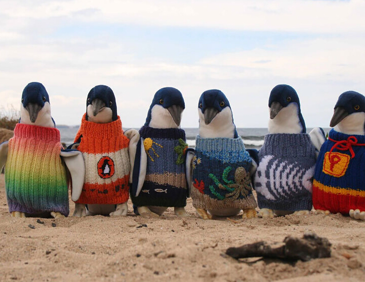 ��109���������Ϊ��Σ���֯ë�¡�