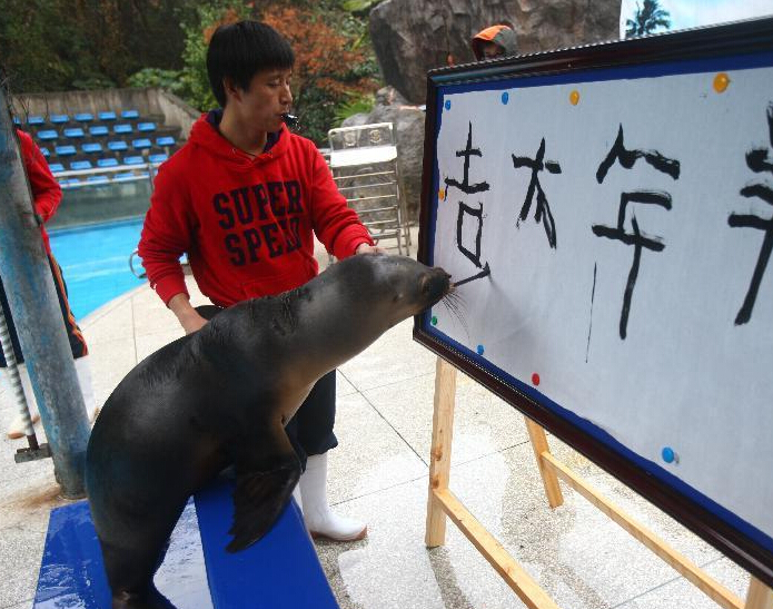 �㽭������ʨд����ӭ�´���