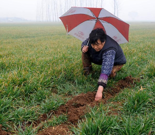 ɽ������ϲ�����ꡱ