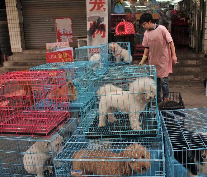 ���������ǰ���ⱬ�� �����������Ŷӡ�