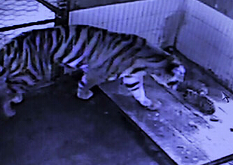 ���춯��԰30�����״���Ȼ�������ϻ����̡�