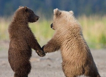 ����Ȼ��˵һ��İ��ͺܸж���