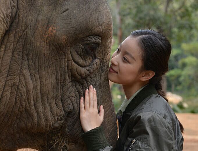 倪妮黄轩给大象洗香香做Spa 修脚搓背全方位服务”