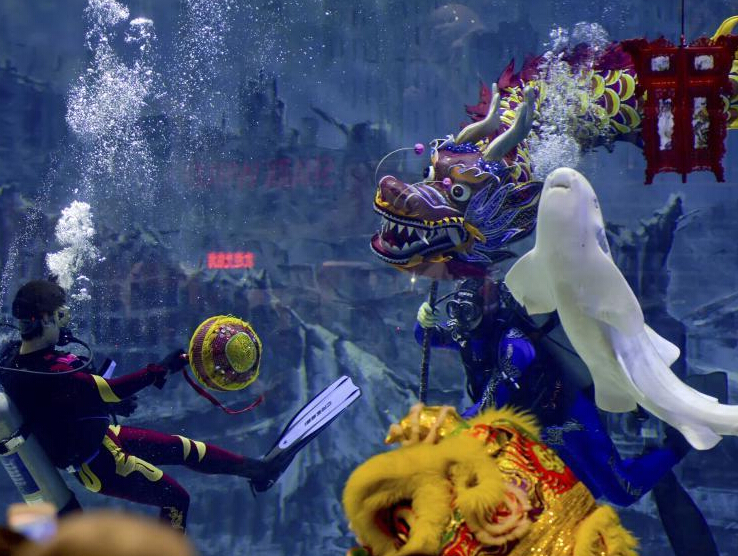 ��������ݶ������ױ����״����ࡱ