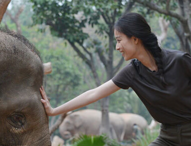 倪妮摆脱心理恐惧为小象“美甲” 与妮娜奇妙共舞”
