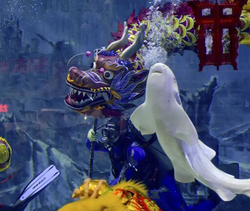 ��������ݶ������ױ����״����ࡱ