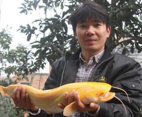 �������ӵ����������ɫ���� ͨ�徧Ө��͸��