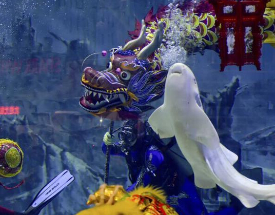 ��������ݶ������ױ����״����ࡱ