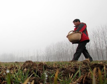 ɽ������ϲ�����ꡱ
