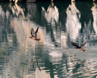 �żҽ��Ͽ����ԧ��Ϸˮ��