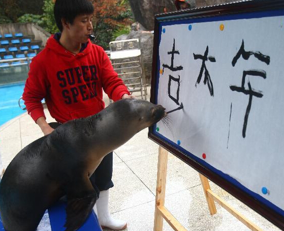 �㽭��������ʨд����ӭ�´���