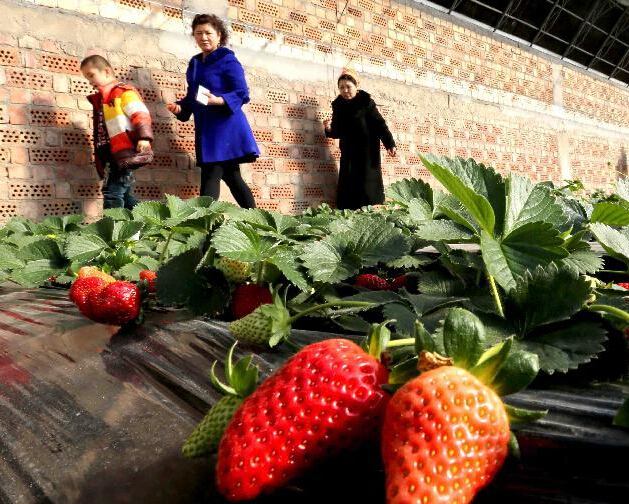 �½����ܹ۹�ũҵ�����ˡ�