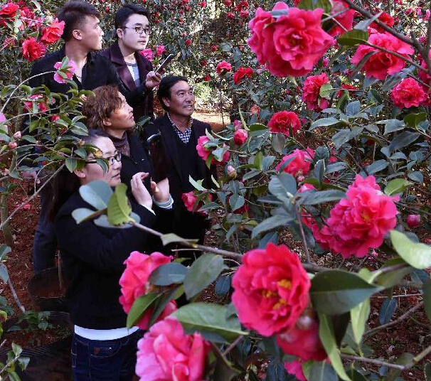 ���жȼ��Ͳ軨��