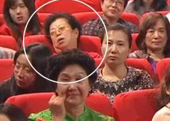 组图:春晚意外抢镜的观众“睡觉姐”走红”