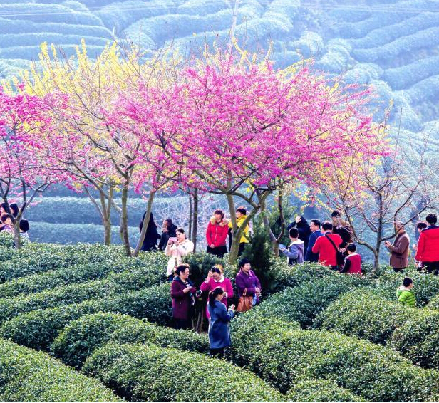 ����½����ɽ������ӣ����������