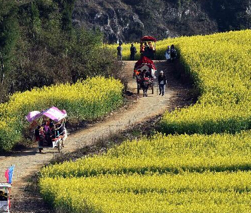 �����й�����ػƻ�ӭ������