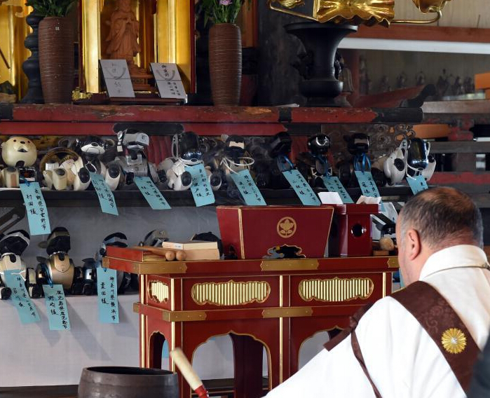 �ձ��˸���Ϊ19ֻ����������ٰ�����