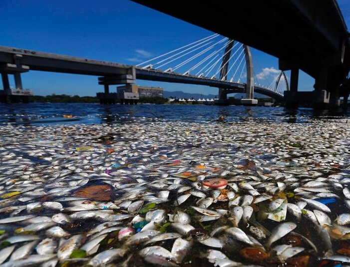 �������ɰ������ִ������� �˵�Ϊ2016�·�������