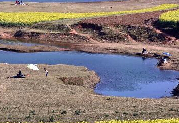 ������ƽ�Ͳ˻�ʢ��ӭ�ο͡�