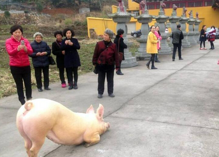 �㽭����һ��Ժ�֡����������Χ�ۡ�