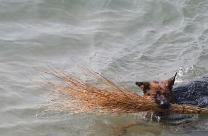 �ൺջ���֡��������� ��η����������������