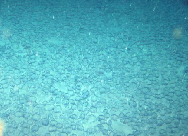 �����󺣵��ִ�Ƭ���ؽ����� ��ѧ�ҽ��س���