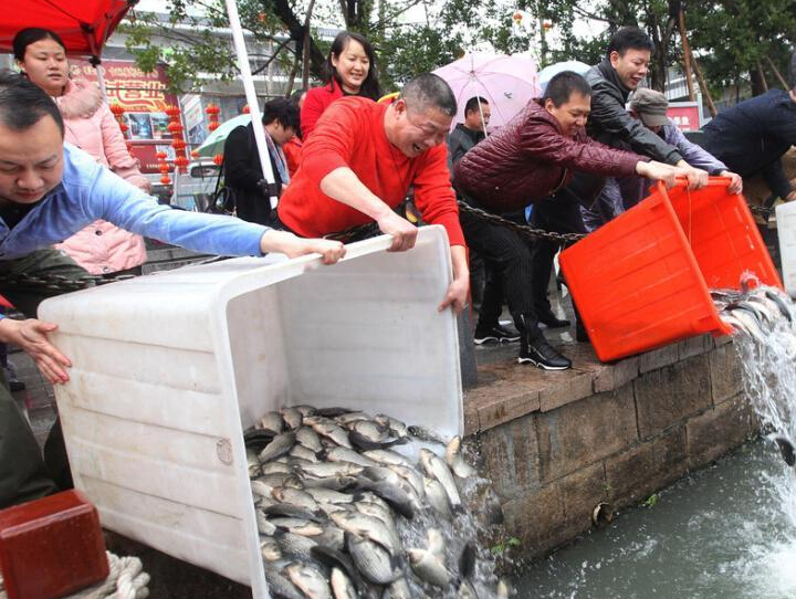 ���ݰ����̻�Ͷ��8����������������ڡ���